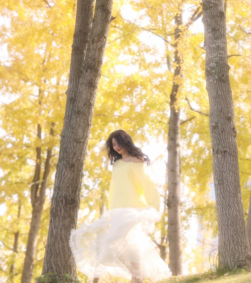 《秋日温柔限定秋日浪漫一大半是银杏给的》[29P]